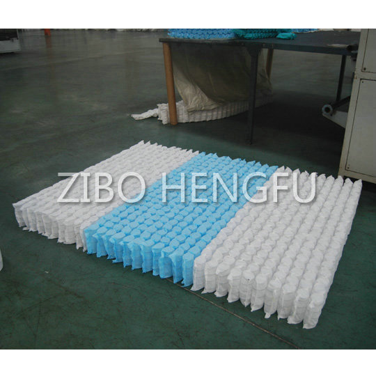 Pocket spring coil